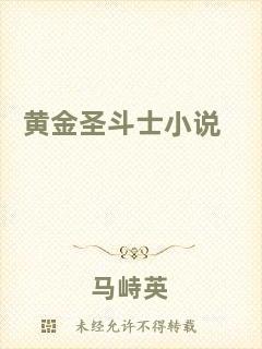 黃金圣斗士小說(shuō)