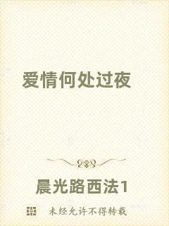 愛(ài)情何處過(guò)夜