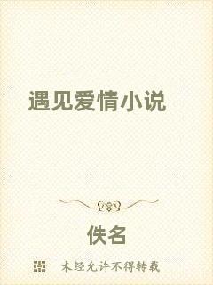 遇見愛情小說(shuō)
