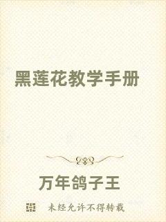 黑蓮花教學(xué)手冊(cè)